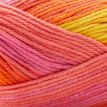 Premier cotton sprout worsted multi yarn - 16